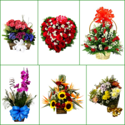 FLORICULTURAS Esmeraldas, cestas de café da manhã e coroas de flores